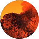 Cristian Martinez profile picture