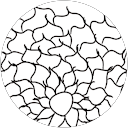Alexis Muhammad profile picture